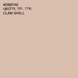 #DBBFAE - Clam Shell Color Image